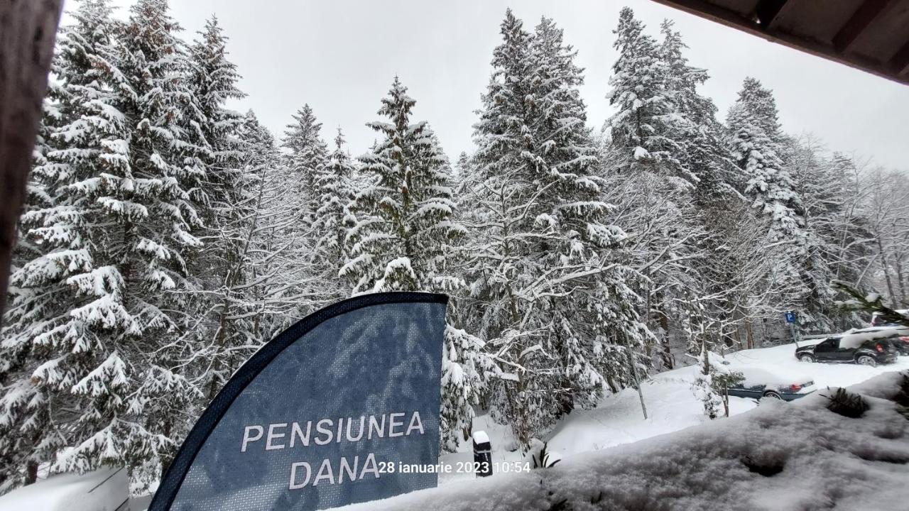 Pensiunea Dana เปรดัล ภายนอก รูปภาพ