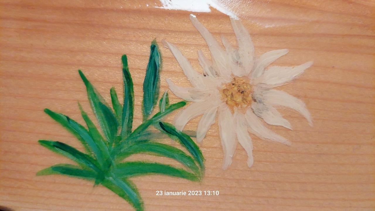 Pensiunea Dana เปรดัล ภายนอก รูปภาพ